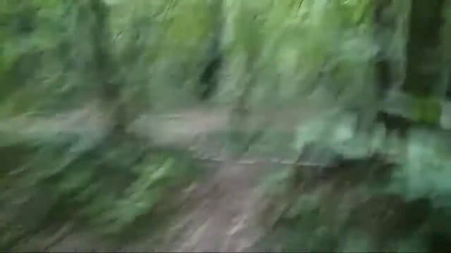 А не поиграть ли нам в прятки? смотреть онлайн
