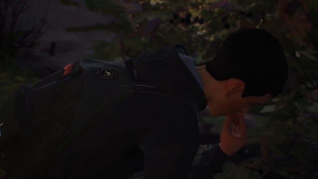 Мастера выживания - Life is Strange 2 #2