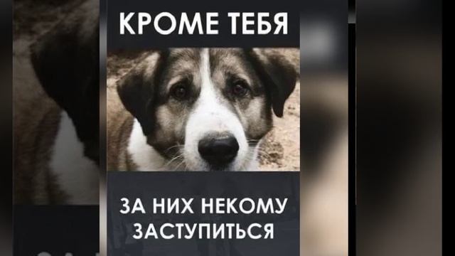 30 ноября 2023 г. смотреть онлайн