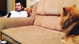 Паша техник Vs Шпиц.