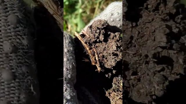 Советский билон