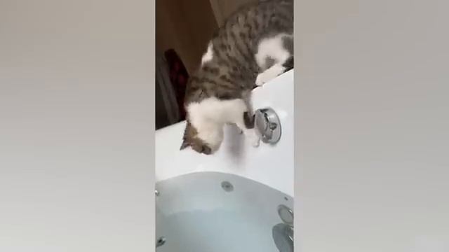 сборник приколов часть 6 смотреть онлайн