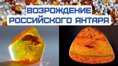 Обзоры изобретений и новости технологий