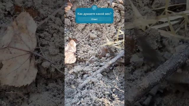 Что было под корнем?