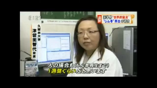 Stem cells ligament смотреть онлайн