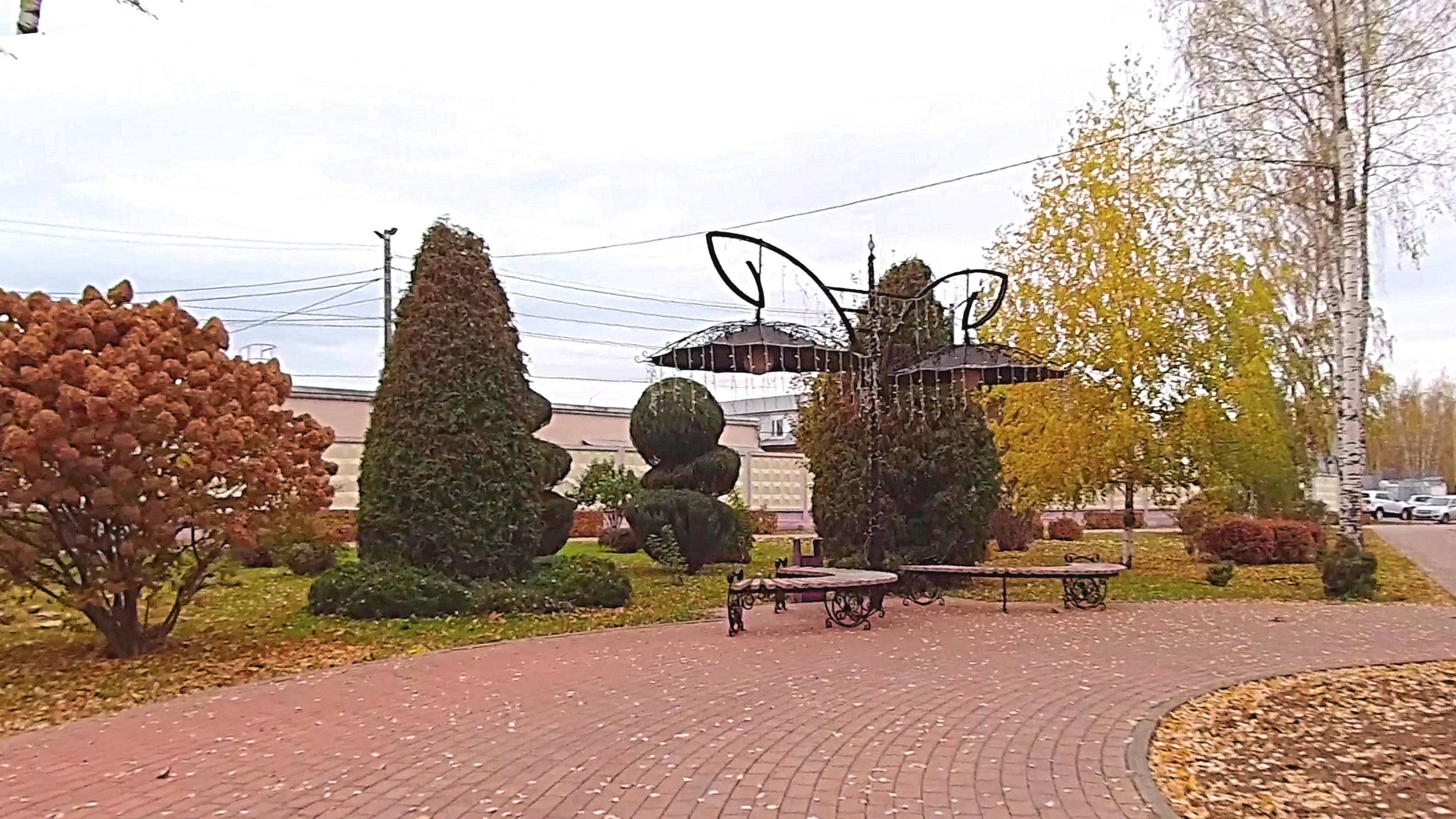 Парк у Мясокомбината в Йошкар-Ола октябрь 2024 смотреть онлайн
