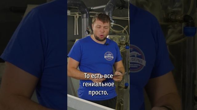 оксигенатор shorts5 #акваферма #разведениерыбы #осетр смотреть онлайн