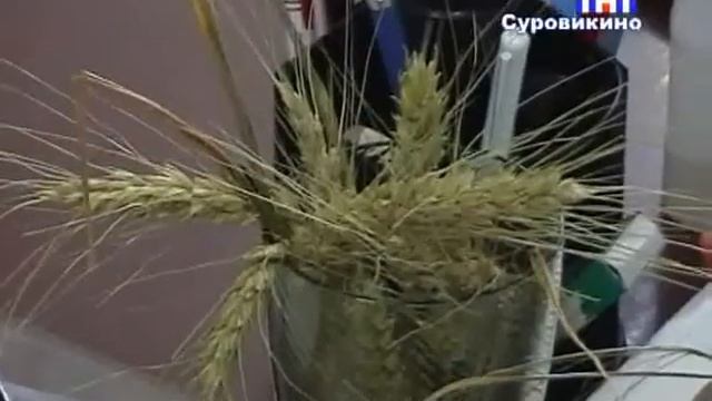 Нашествие саранчи смотреть онлайн