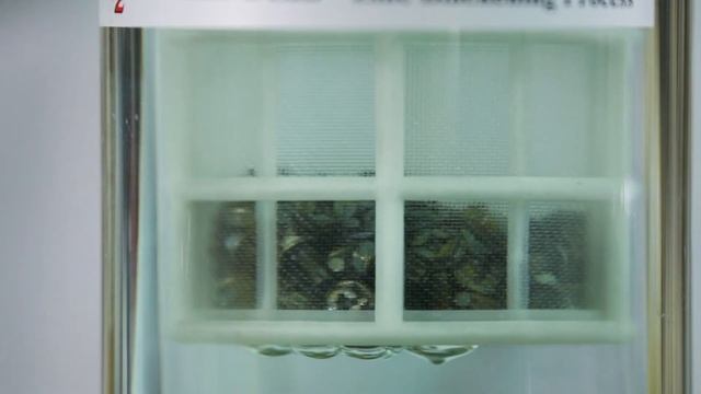 Metalline ZnB - Trivalent Black Chromate Process смотреть онлайн