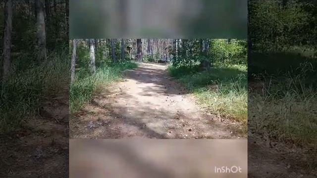 Санаторий. Тропа Здоровья. Перекресток трех дорог. смотреть онлайн