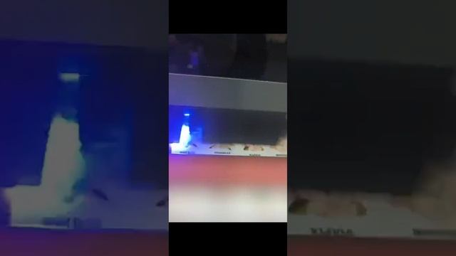 DTF UV принтер #shorts #rutube #рутуб #принтердтфуф #дтфуф #уфдтф #печатьстикеров #печатьнаклеек смотреть онлайн