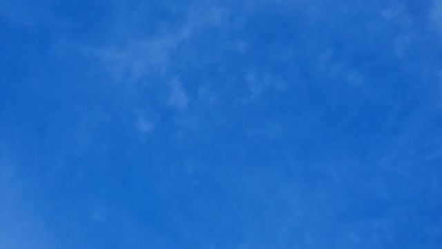 Голуби солнце снег прогулка смотреть онлайн