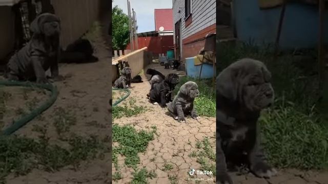 Красавцы смотреть онлайн