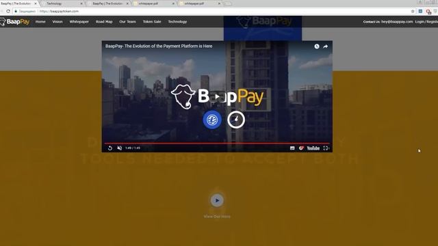 BaapPay - The Evolution of the Payments Platform смотреть онлайн
