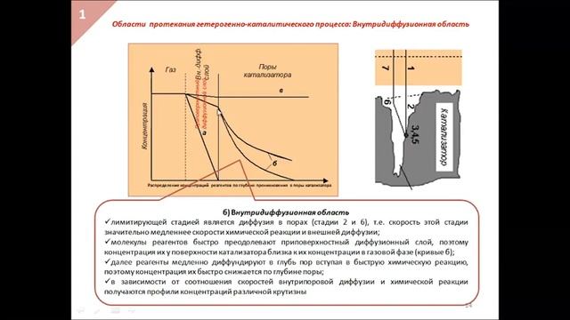 8 лекция по макрокинетике смотреть онлайн