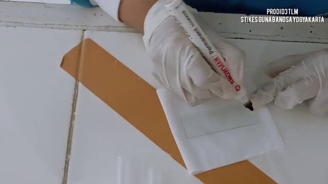 Identifikasi Bakteri Gram Positif смотреть онлайн