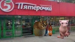 будешь майонез пес?