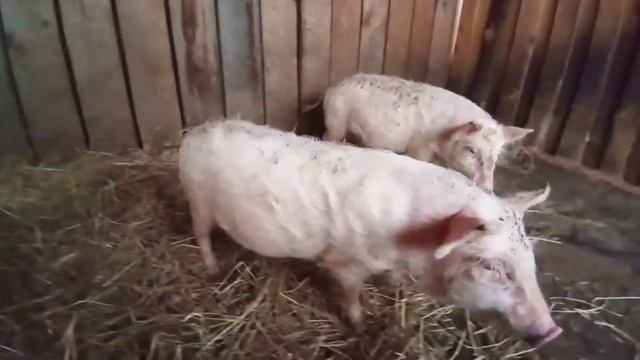 Блог про посадки смотреть онлайн