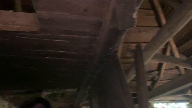 Здесь люди давно не живут, а вещи на чердаке еще лежат. Заехали в заброшенную деревню смотреть онлайн