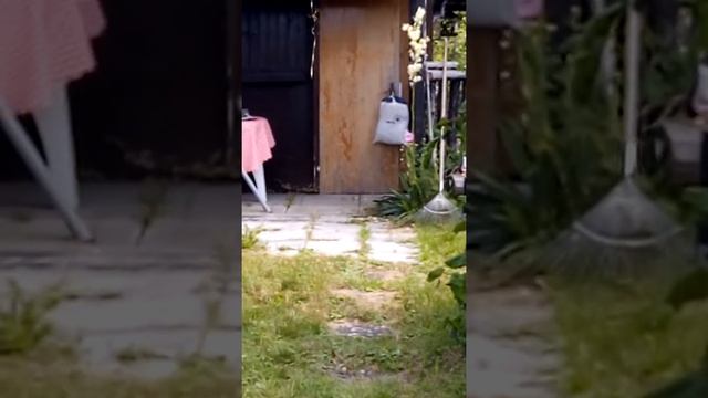 VID 20190718 153151 смотреть онлайн