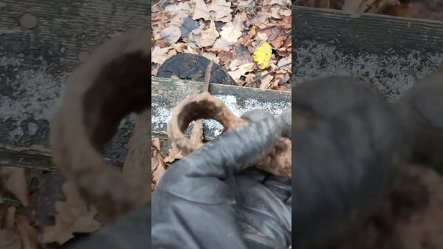 Древний топор: тесло!