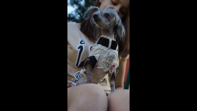 летняя коллекция от компании НЮАНс смотреть онлайн