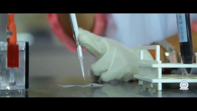 Biotechnology Skill Enhancement Program BiSEP at The Oxford College of Science смотреть онлайн