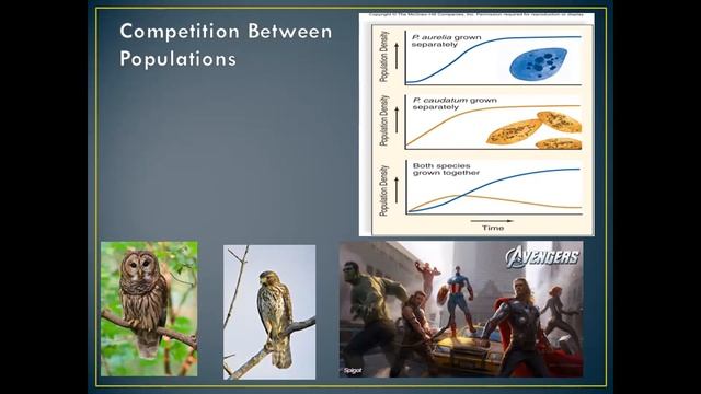 AP Biology Unit 8 - Lesson 85: Community Ecology (Pt 2), Predator-Prey Interactions, Eco Succession смотреть онлайн