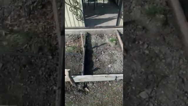 Перестал показывать прибор давления на ГАЗ 53(продолжаем благоустройство двора ) смотреть онлайн