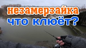 НАШЁЛ НОВУЮ незамерзающую речку. Конец Декабря. MIFINE NanoJig 0.5-2гр. #мормышинг #рыбалка