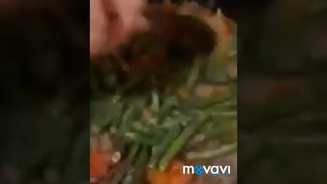 Быстрый ужин. Рагу из за мороженных овощей смотреть онлайн