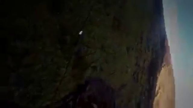 Беркут в погоне за зайцем смотреть онлайн