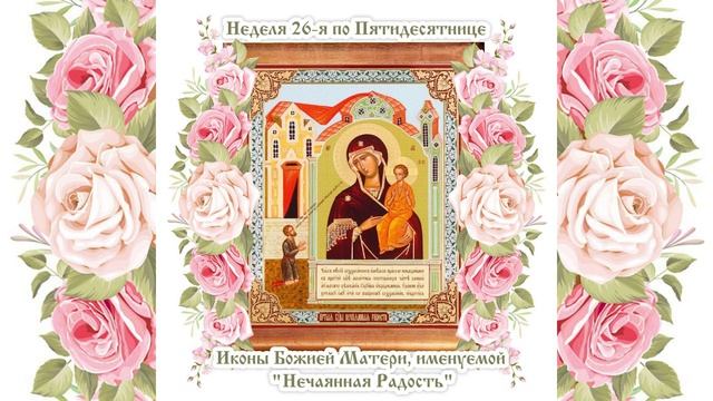 Радость, которую не ожидали смотреть онлайн