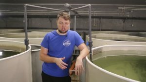 Обзор бассейнов для выращивания Малька форели