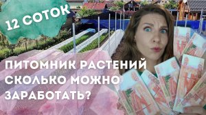 Сколько можно заработать на питомнике растений?Миллионы на туях?В описании ВАЖНОЕ условие