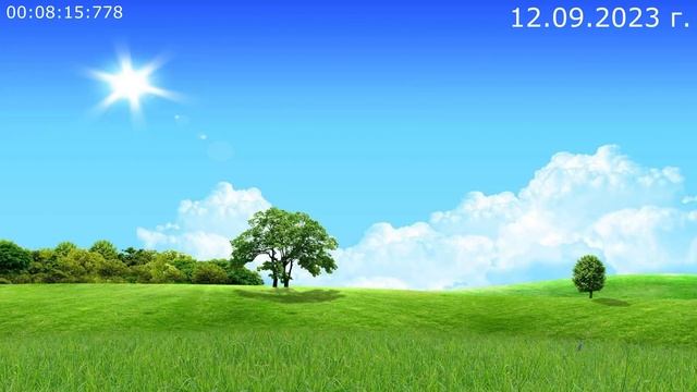 781 Приглашение на полянку 12.09.2023 г смотреть онлайн