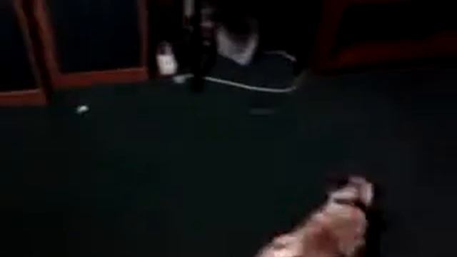 Бешеная собака барабака(смотри до конца не пожалееш) смотреть онлайн