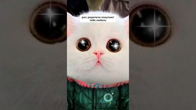 А что хотел(а) ты? смотреть онлайн