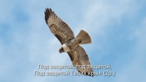 Буду жить под защитой Твоих крыл