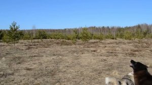До деревни Ула весной на вёсельной  лодке по Большой Воде . Охота, Тайга, Река.