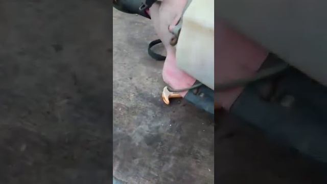 Ремонт подаренного триммера (подарки от подписчиков) смотреть онлайн