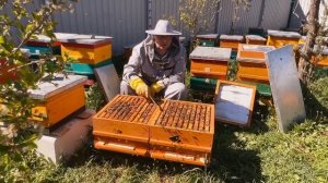 УНИКАЛЬНЫЙ УЛЕЙ ДЛЯ ИНВАЛИДОВ И РАБОТЫ С НИМ