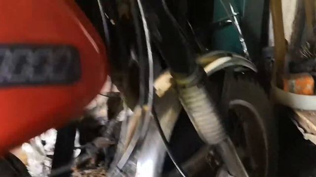 Моя Планета