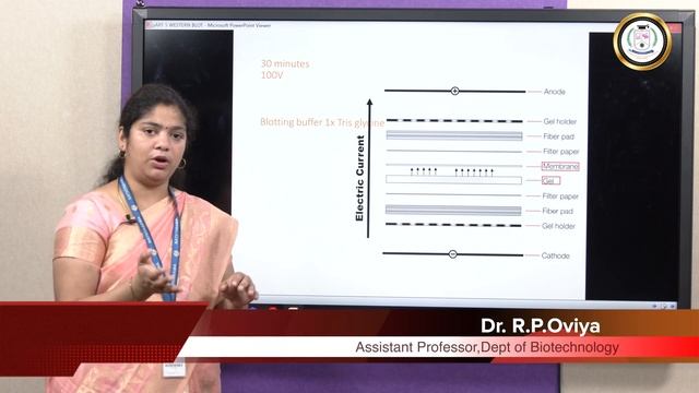 Western Blotting - Dr.R.P.Oviya смотреть онлайн