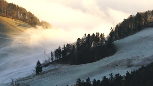 FOG RIVER IN THE MOUNTAINS | #Nature and #Travel | 4K VIDEO Ultra HD HDR TV Samsung Sony OLED TV смотреть онлайн
