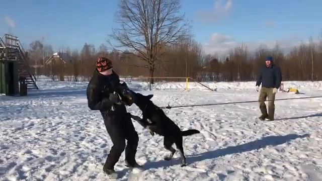 Хельхаус Застава пуск с Егором Недбайло смотреть онлайн