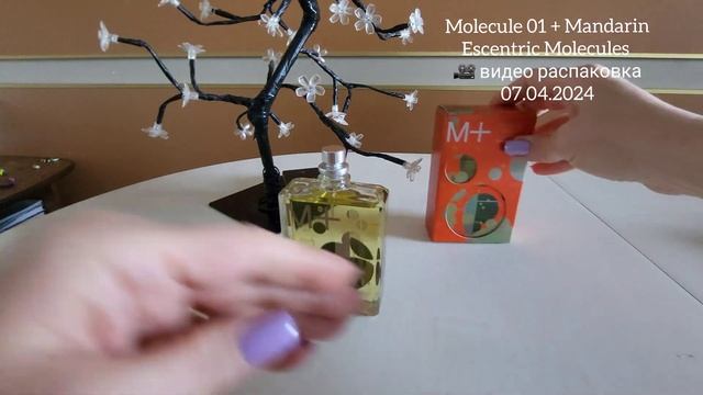 Molecule 01 + Mandarin Escentric Molecules Самый реальный мандарин 🍊 смотреть онлайн