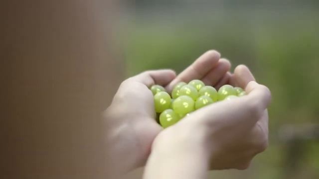 CAUDALIE Крем для глаз VINEACTIV смотреть онлайн