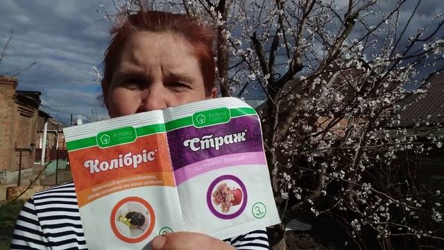 УВАГА-МОНІЛІОЗ!ДРУГА ОБРОБКА ДЕРЕВ ВІД МОНІЛІОЗУ ТА ШКІДНИКІВ ДЛЯ ВЕЛИКОГО ВРОЖАЮ !!? смотреть онлайн