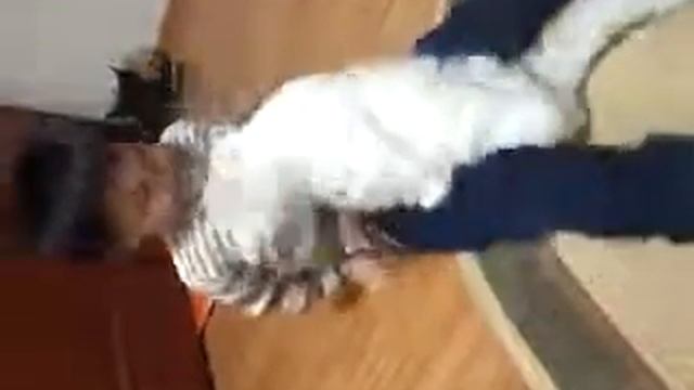 Мальчик рассказывает стишок на англ.яз смотреть онлайн